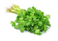 CILANTRO YERBITA